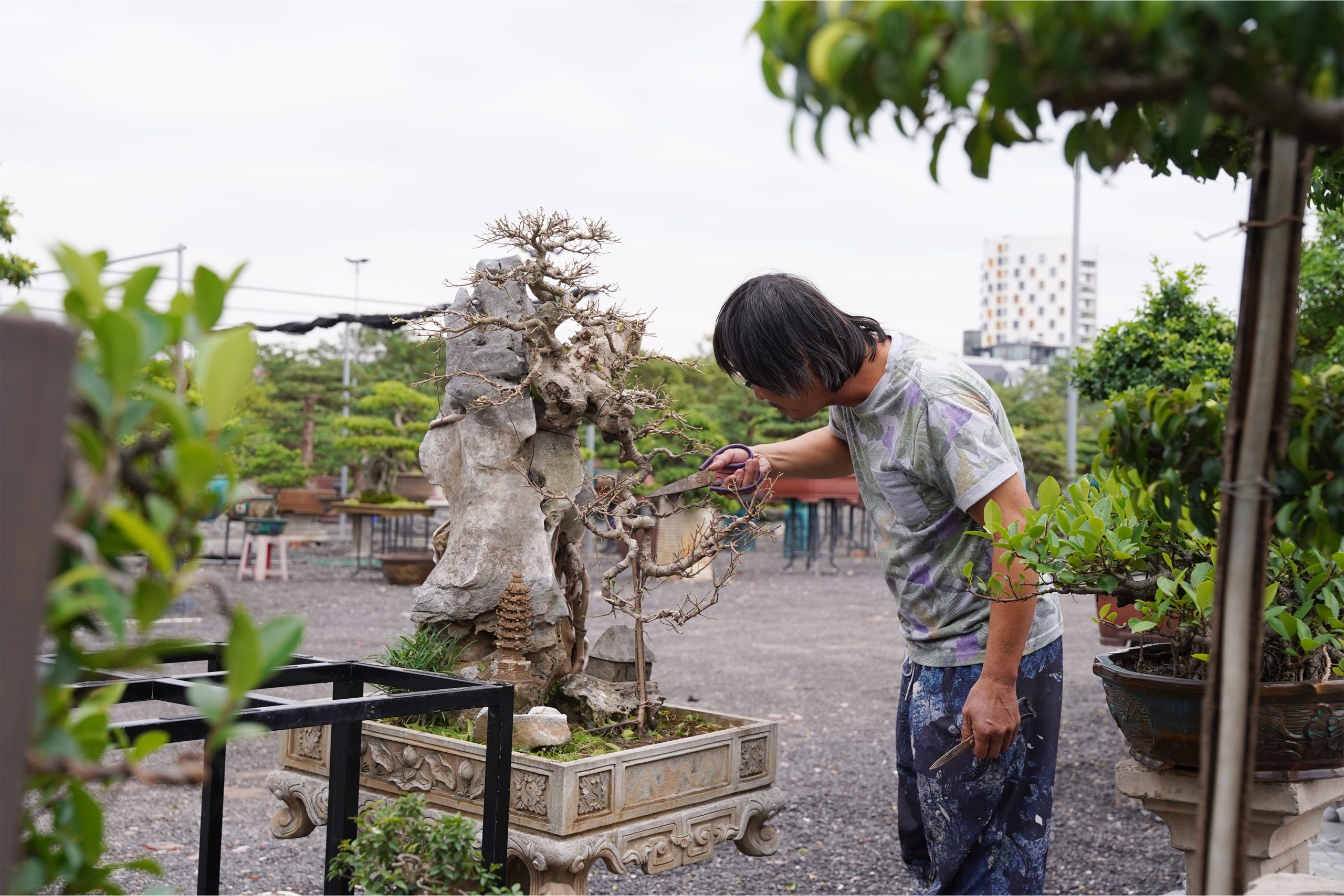 Tạo hình cây cảnh nghệ thuật Việt Nam vừa hiện đại vừa đậm đà bản sắc